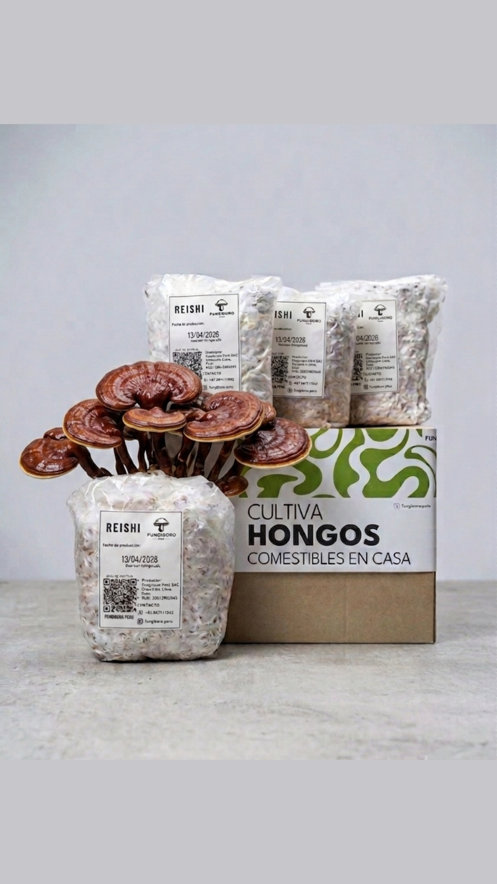 Semilla de Hongo Reishi (Ganoderma lucidum) – Micelio x kg