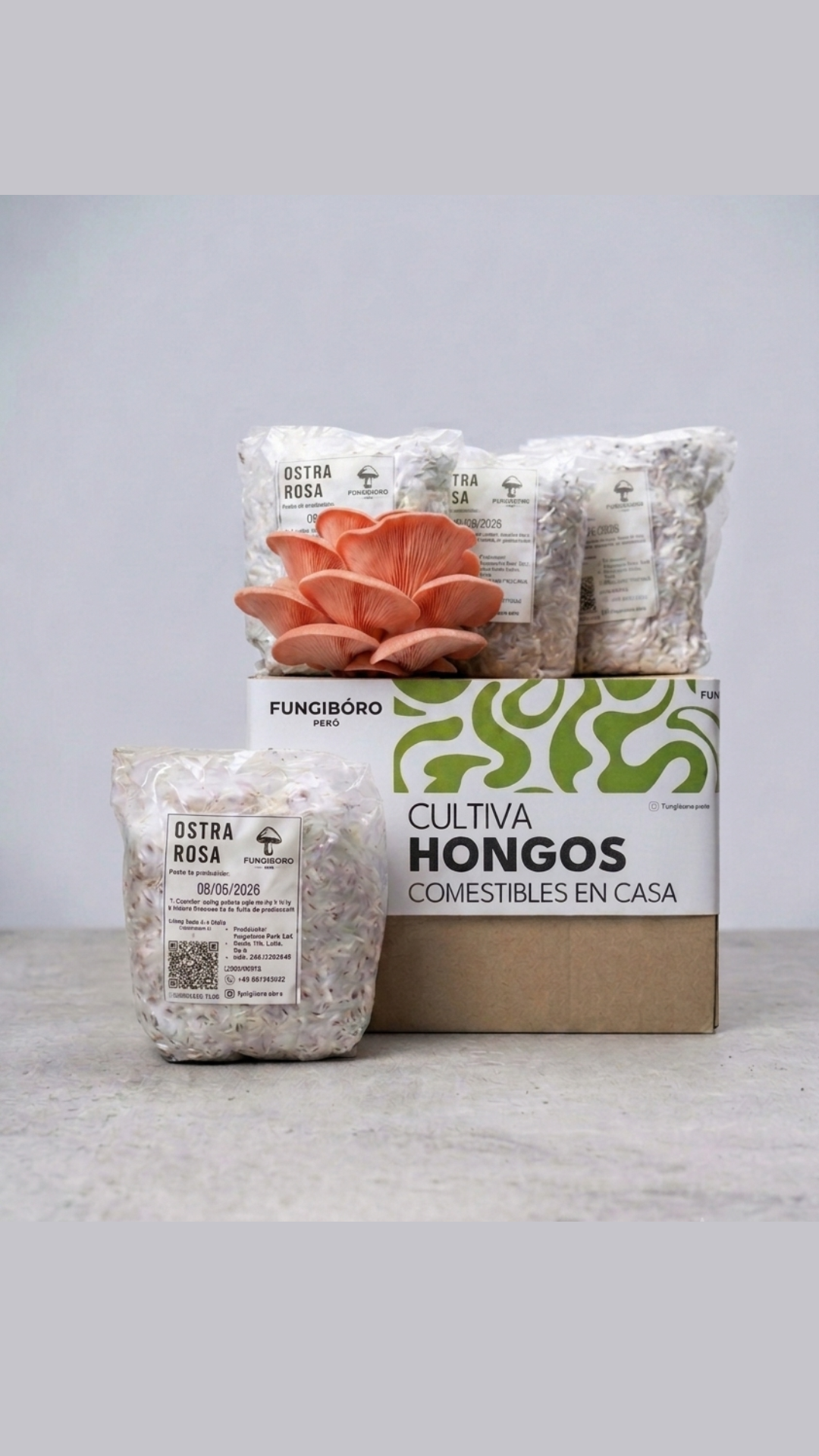 Micelio de Hongo Ostra Rosa (Pleurotus djamor) – Micelio x kg