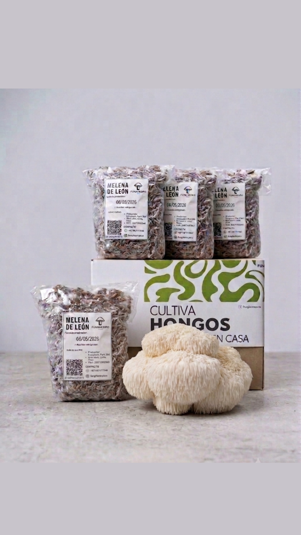 Semilla de Hongo Melena de León (Hericium erinaceus) – Micelio x kg