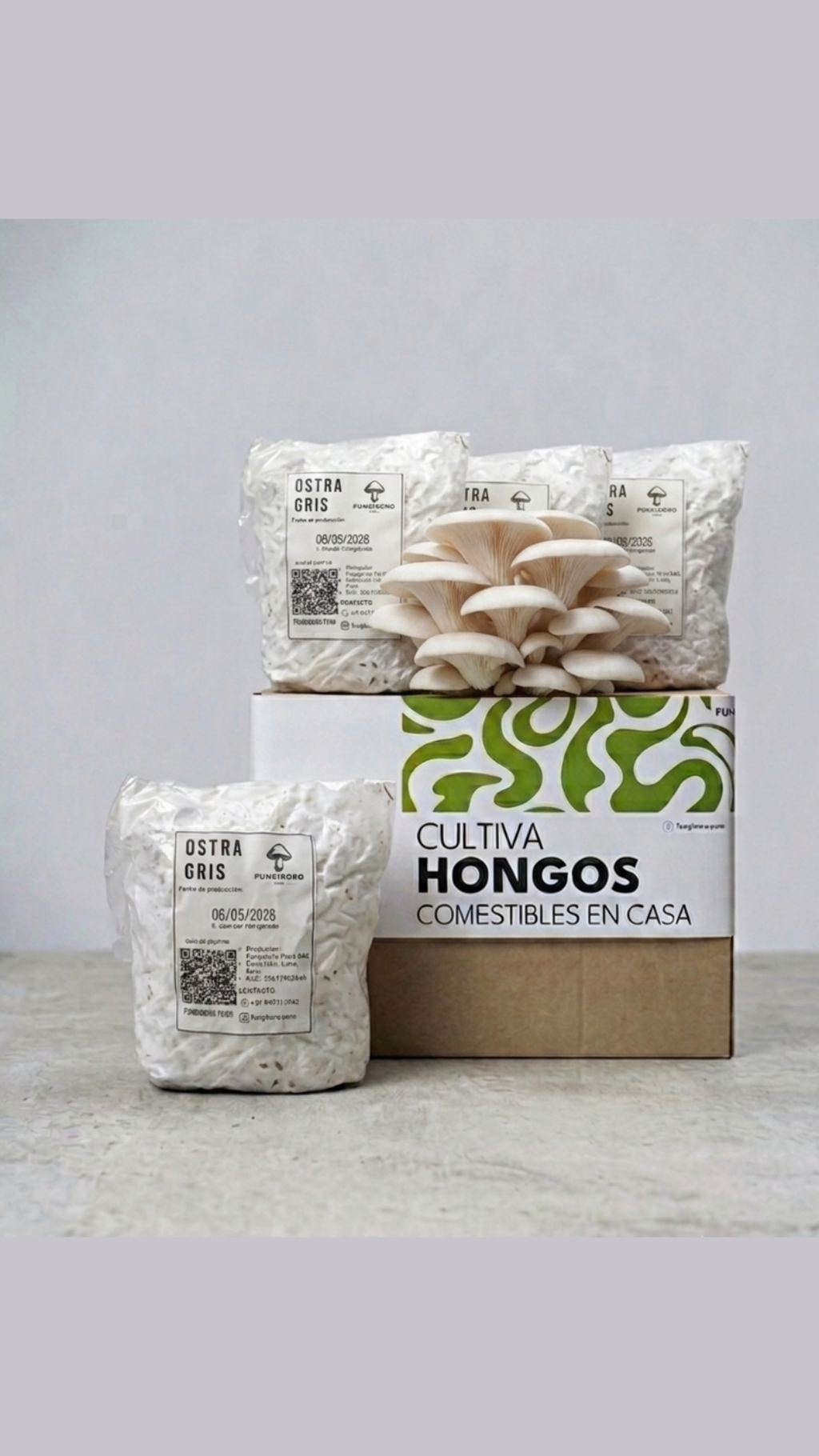 Micelio de Hongo Ostra Gris (Pleurotus ostreatus) - Micelio x kg