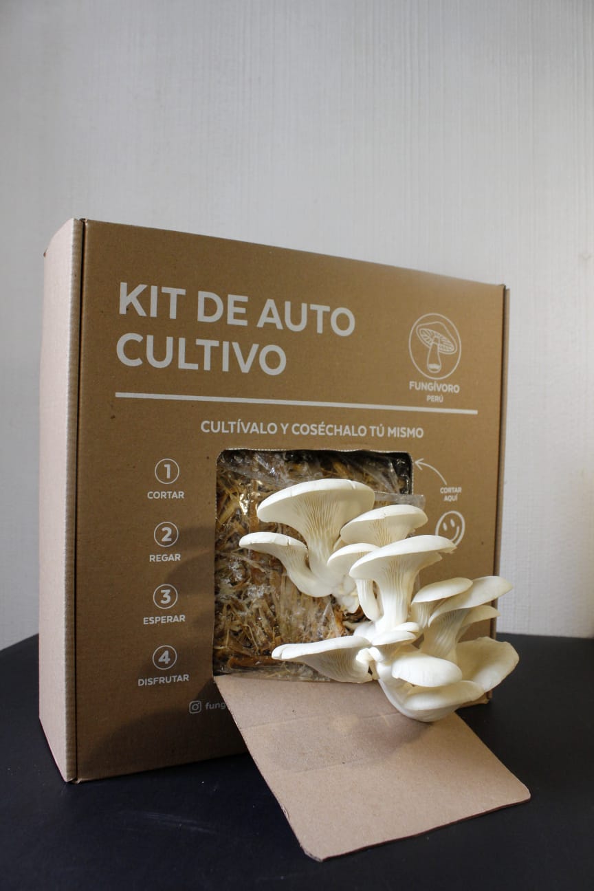 Kit de Cultivo “Cosecha tus Propias Setas” – Hongo Ostra (pleurotus ostreatus) | Fácil, Práctico y Listo para Usar