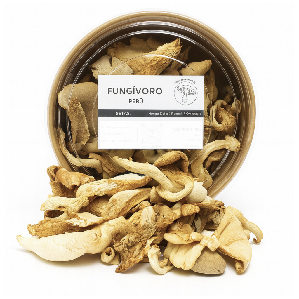 Setas Deshidratadas – Pleurotus ostreatus (Ostra)