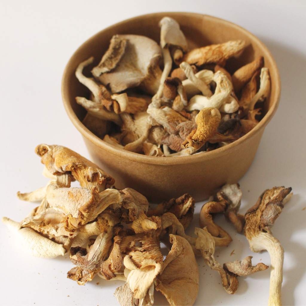 Setas Deshidratadas – Pleurotus ostreatus (Ostra)