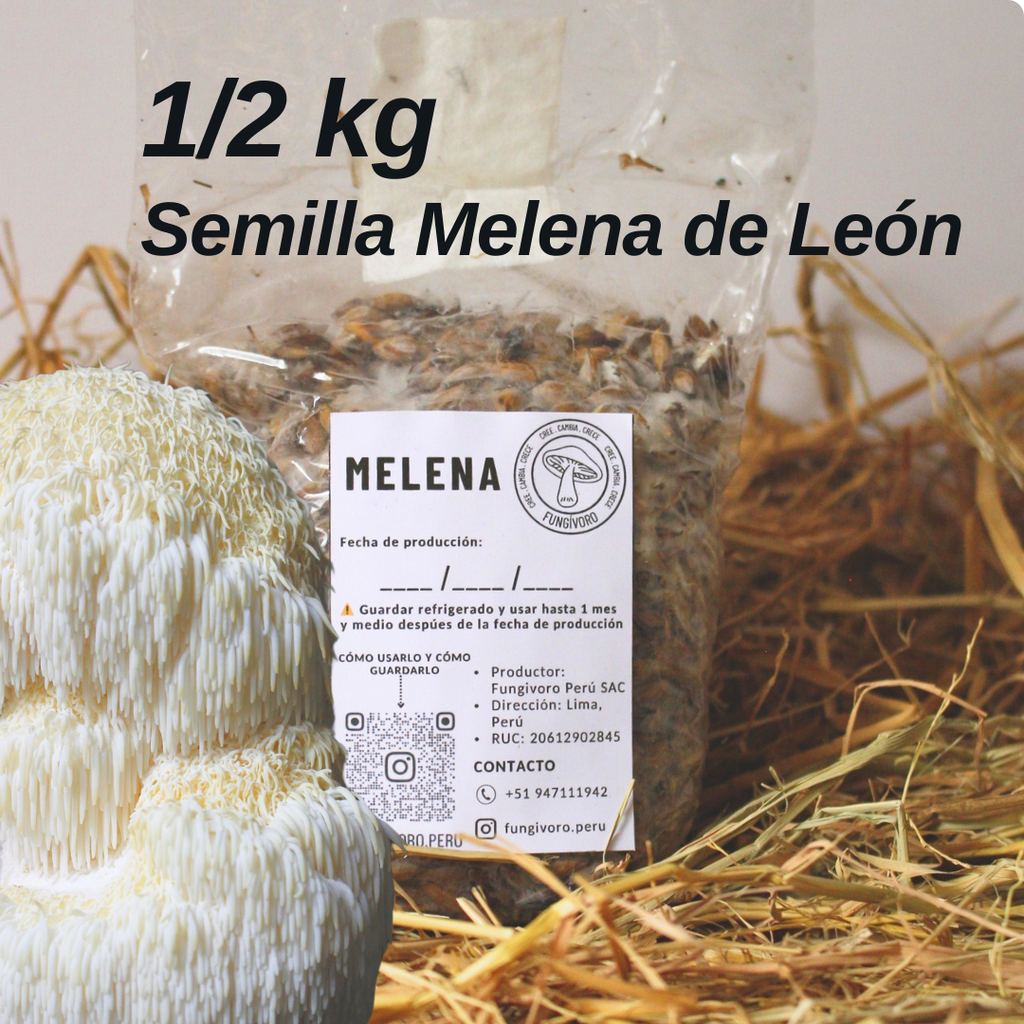 Semilla de Hongo Melena de León (Hericium erinaceus) – Micelio x 1/2kg