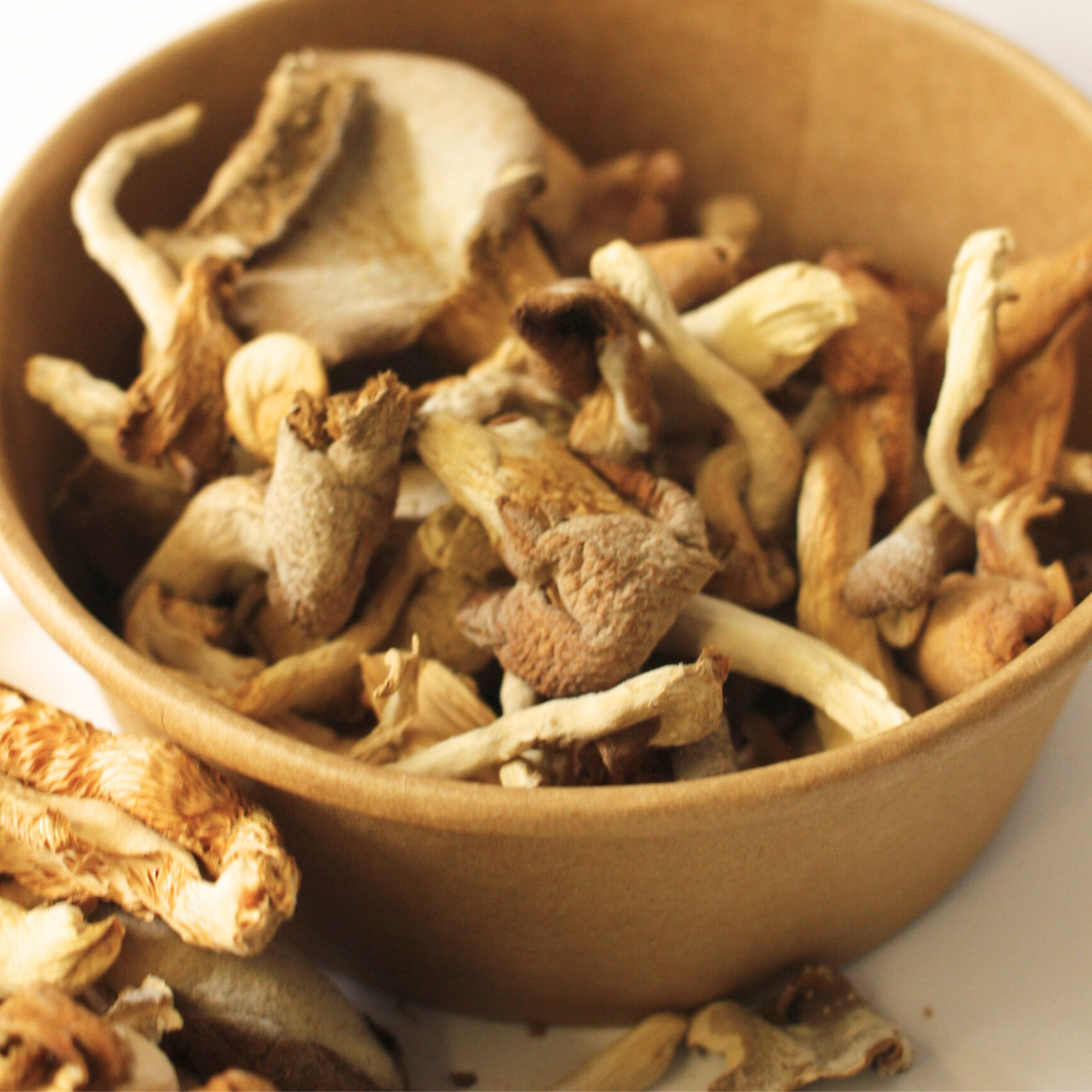 Setas Deshidratadas – Pleurotus ostreatus (Ostra)