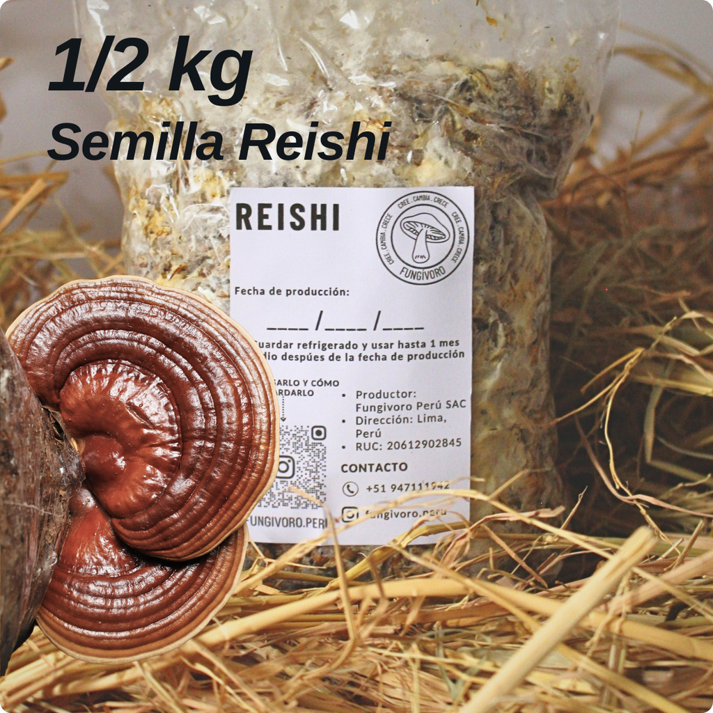 Semilla de Hongo Reishi (Ganoderma lucidum) – Micelio x 1/2kg