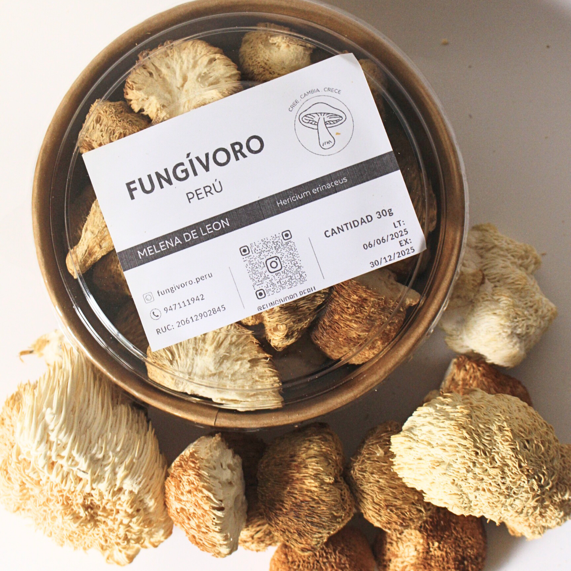 Melena de León Deshidratada · Polvo / Molido Entero · 30 g