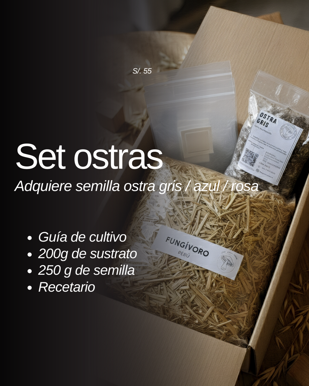 PROMOCIÓN Semilla Hongos Ostras (pleurotus ostreatus)