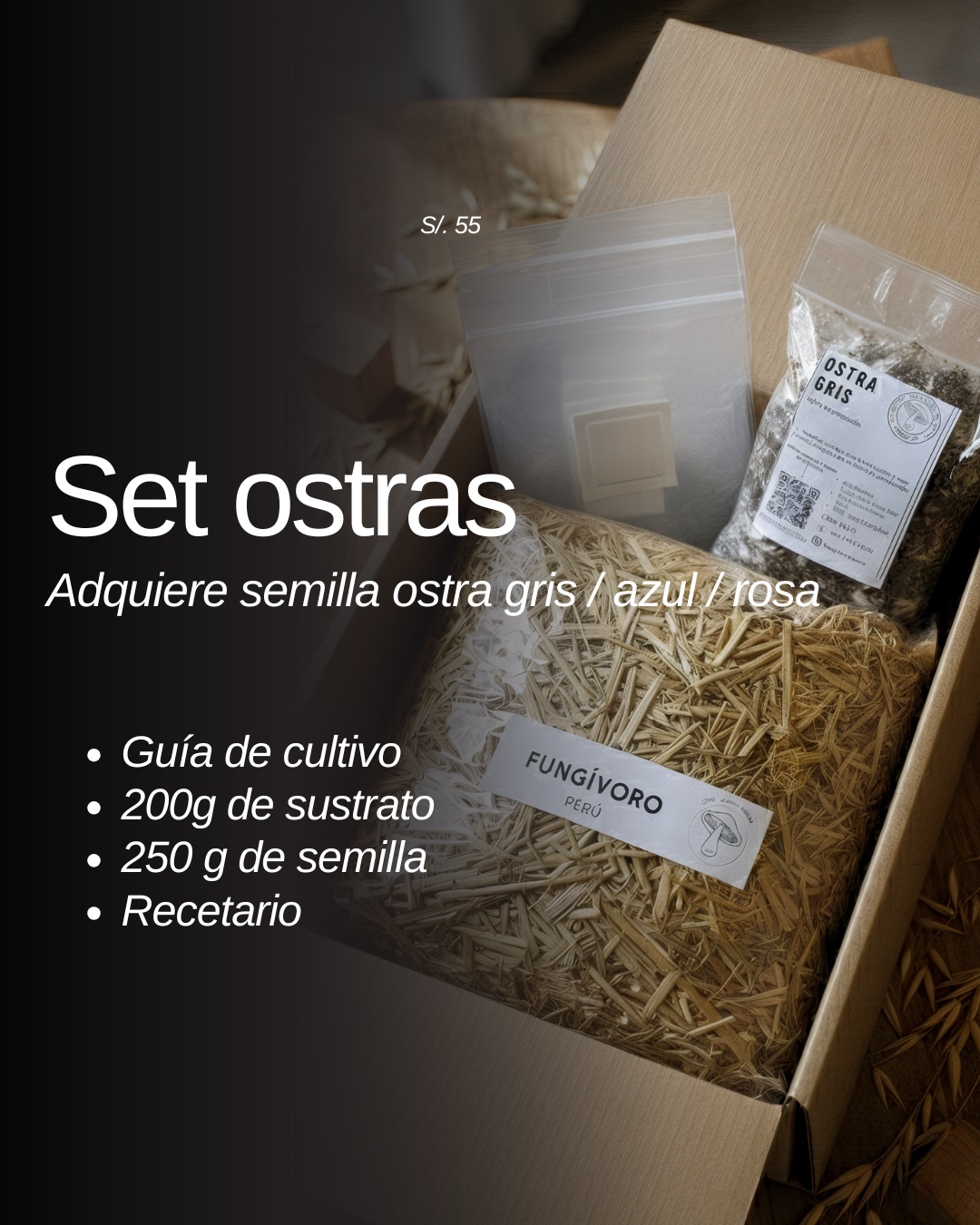 PROMOCIÓN Semilla Hongos Ostras (pleurotus ostreatus)