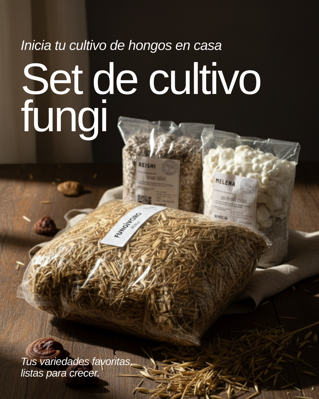 Kit Principiante Hongo Melena de León (Hericium erinaceus) 250g Micelio + 200g Sustrato + Bolsas | Primera Experiencia Cultivo Hongos Perú
