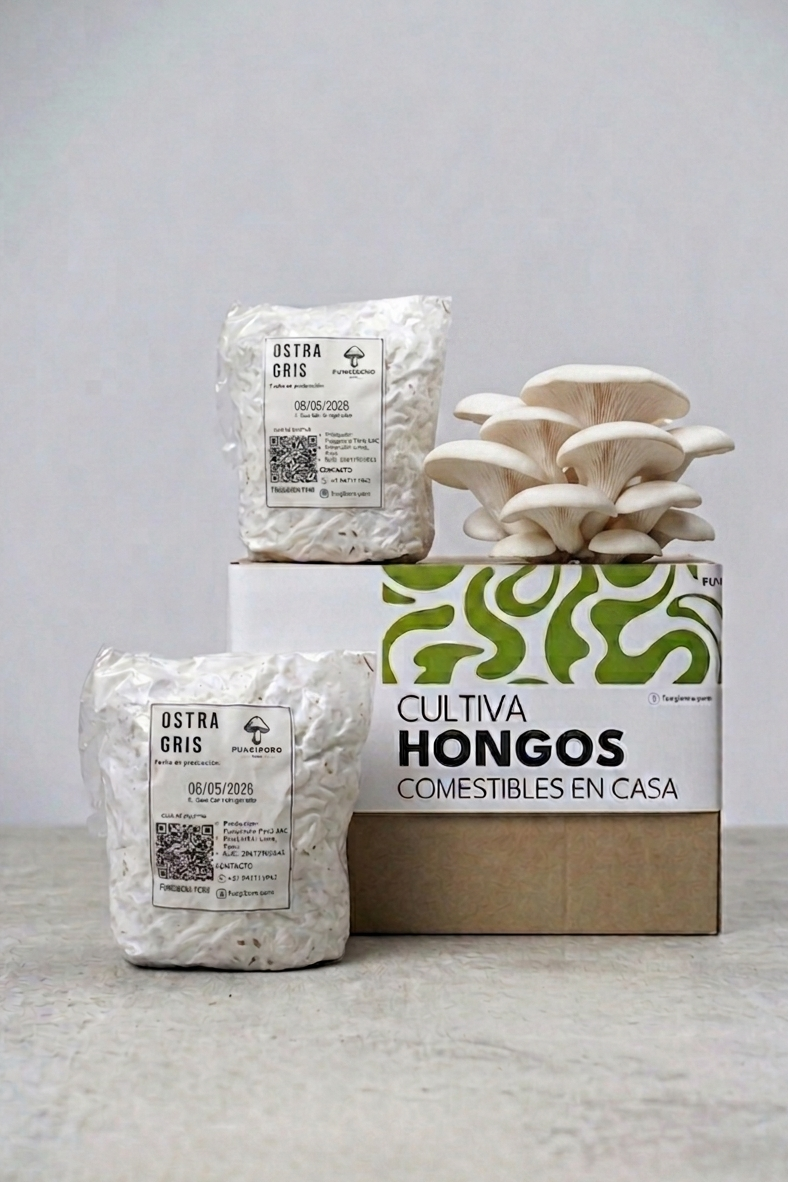 Micelio de Hongo Ostra Gris (Pleurotus ostreatus) - Micelio x 1/2kg