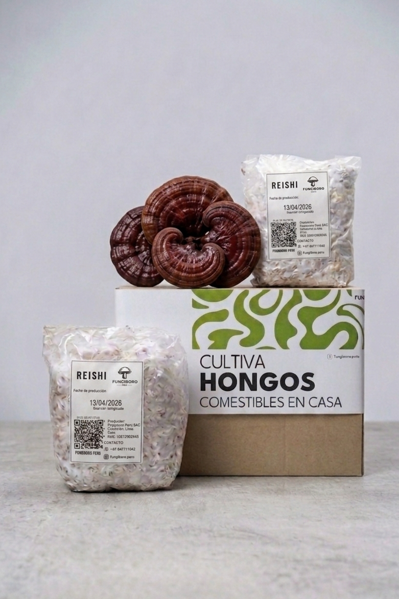 Semilla de Hongo Reishi (Ganoderma lucidum) – Micelio x 1/2kg