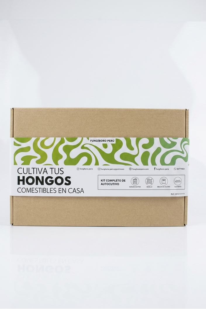 Kit Primer cultivo Hongo Reishi (Ganoderma lucidum) 250g Micelio + 200g Sustrato + Bolsas| Primera Experiencia Cultivo Hongos Perú