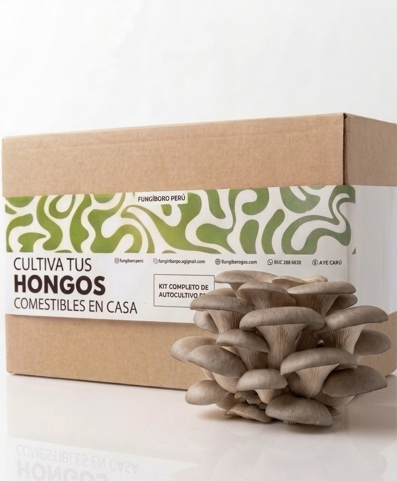 Kit Primer cultivo Hongo Ostra Azul (Pleurotus ostreatus) 250g Micelio + 200g Sustrato + Bolsas | Primera Experiencia Cultivo Hongos Perú