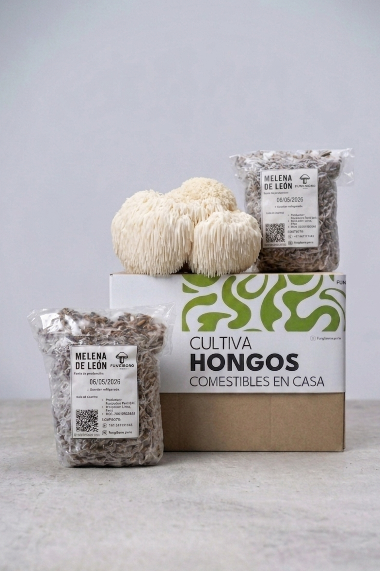 Semilla de Hongo Melena de León (Hericium erinaceus) – Micelio x 1/2kg