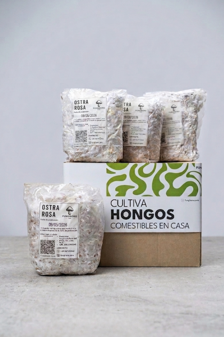 Micelio de Hongo Ostra Rosa (Pleurotus djamor) – Micelio x kg