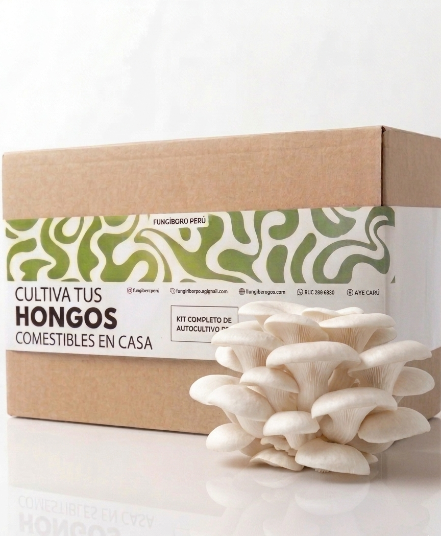 Kit Primer cultivo Hongo Ostra Gris (Pleurotus ostreatus) 250g Micelio + 200g Sustrato + Bolsas | Primera Experiencia Cultivo Hongos Perú