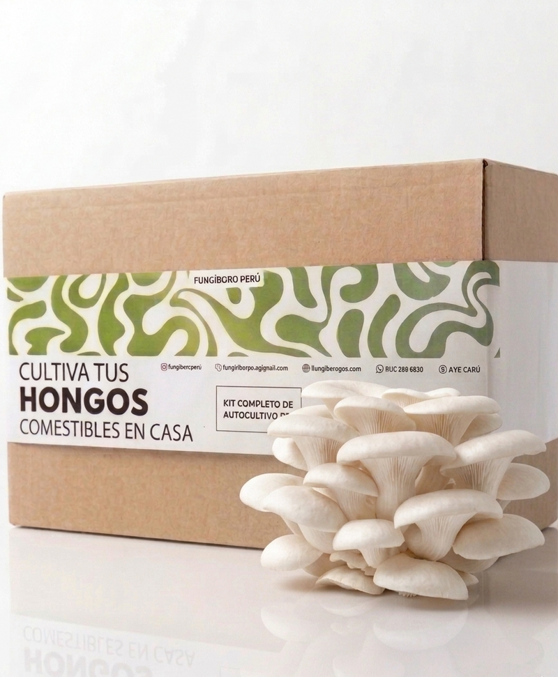 Kit Primer cultivo Hongo Ostra Gris (Pleurotus ostreatus) 250g Micelio + 200g Sustrato + Bolsas | Primera Experiencia Cultivo Hongos Perú