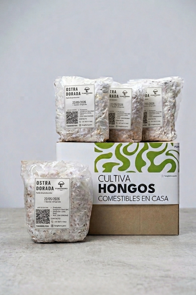 Semilla de Hongo Ostra Dorada (Pleurotus citrinopileatus) – Micelio x kg