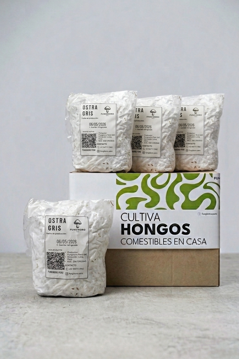 Micelio de Hongo Ostra Gris (Pleurotus ostreatus) - Micelio x kg