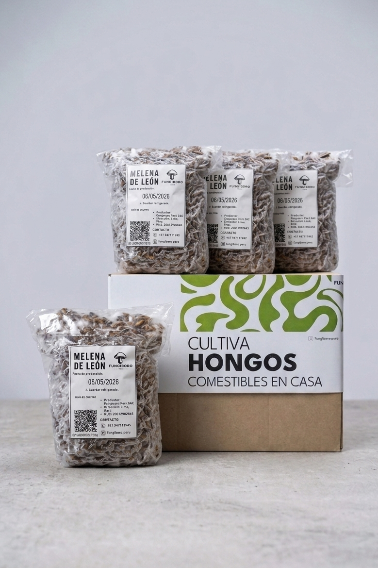 Semilla de Hongo Melena de León (Hericium erinaceus) – Micelio x kg