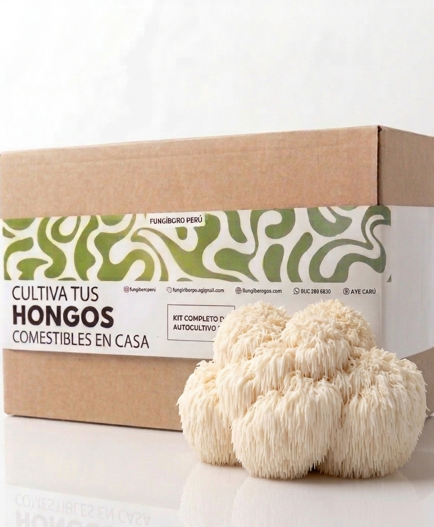 Kit Primer cultivo Hongo Melena de León (Hericium erinaceus) 250g Micelio + 200g Sustrato + Bolsas | Primera Experiencia Cultivo Hongos Perú