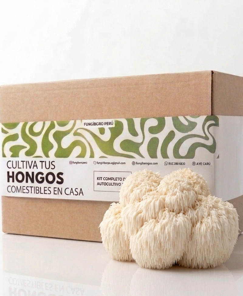 Kit Primer cultivo Hongo Melena de León (Hericium erinaceus) 250g Micelio + 200g Sustrato + Bolsas | Primera Experiencia Cultivo Hongos Perú