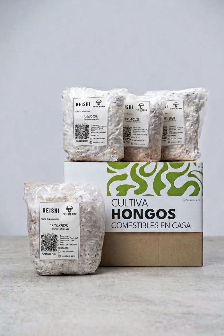 Semilla de Hongo Reishi (Ganoderma lucidum) – Micelio x kg