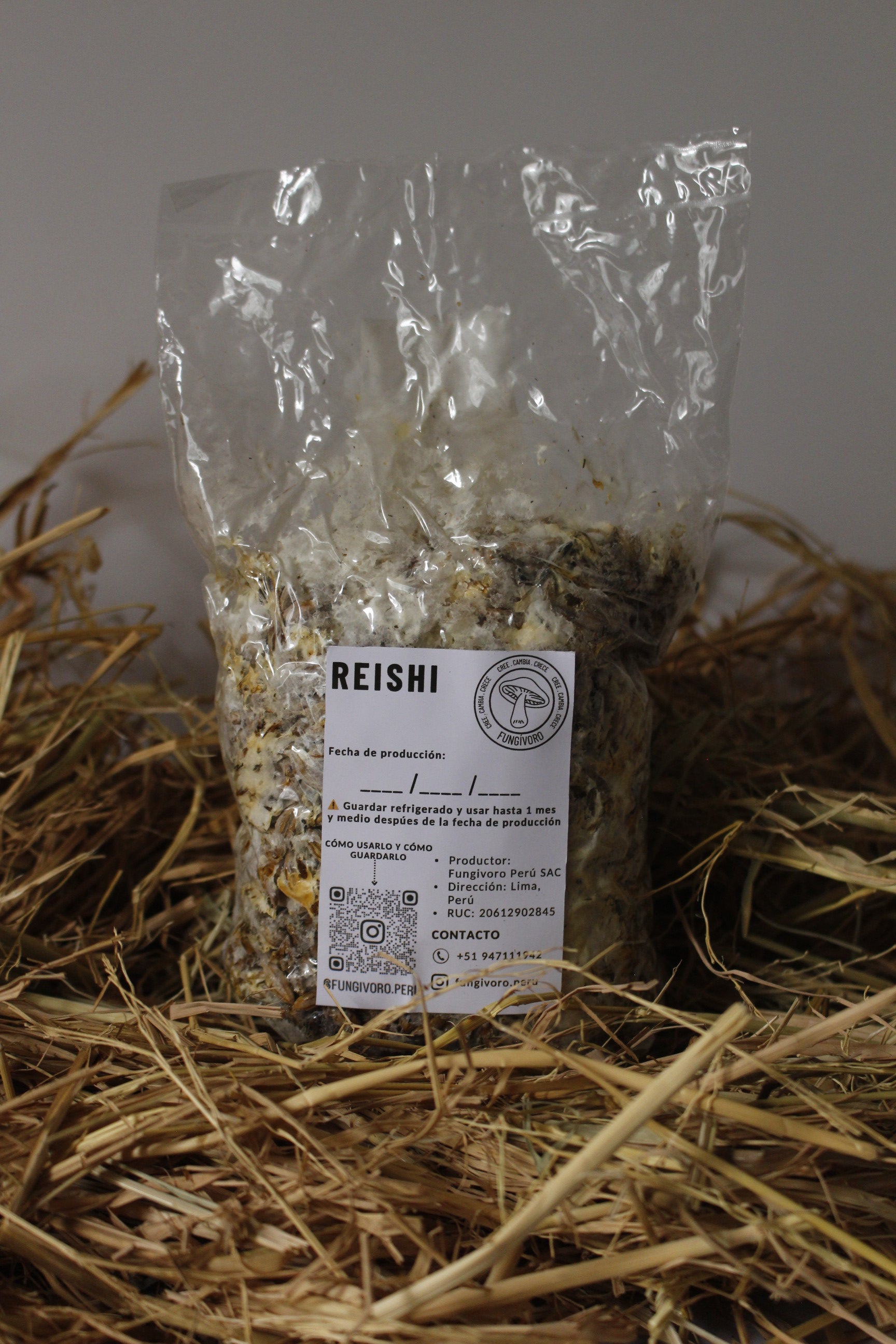 PROMOCIÓN semilla Set de cultivo Medicinal – Reishi (Ganoderma Lucidum)