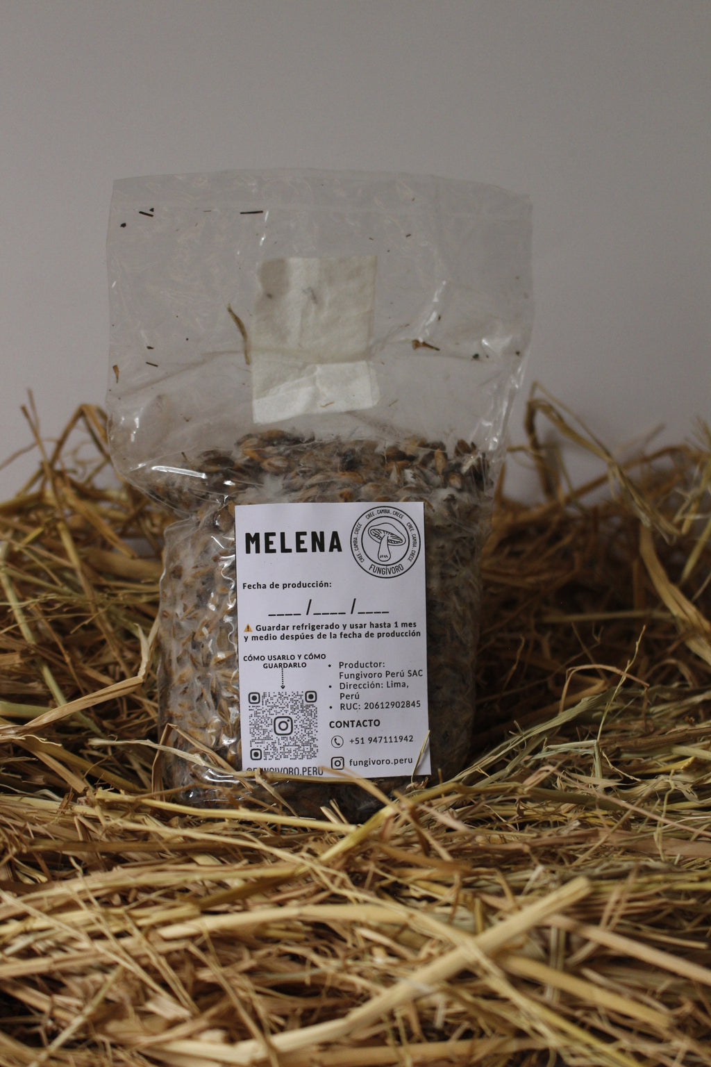 PROMOCIÓN semilla Set de cultivo Medicinal – Melena de León (Hericium Erinaceus)