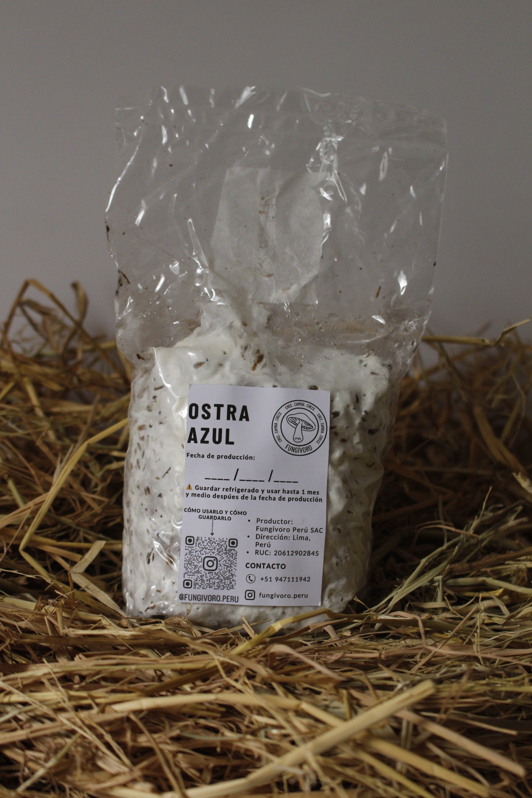 PROMOCIÓN Semilla Hongos Ostras (pleurotus ostreatus)