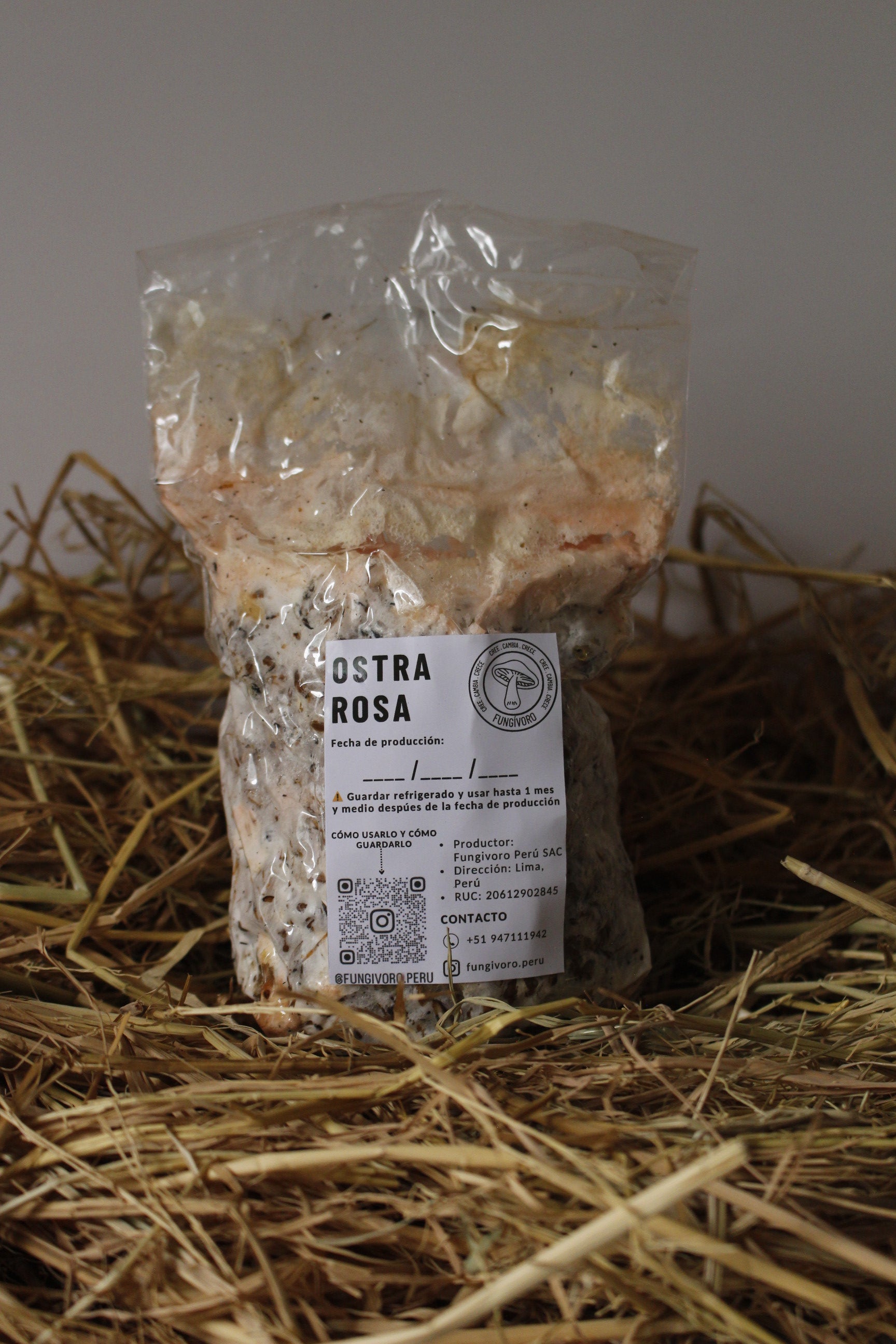 PROMOCIÓN Semilla Hongos Ostras (pleurotus ostreatus)