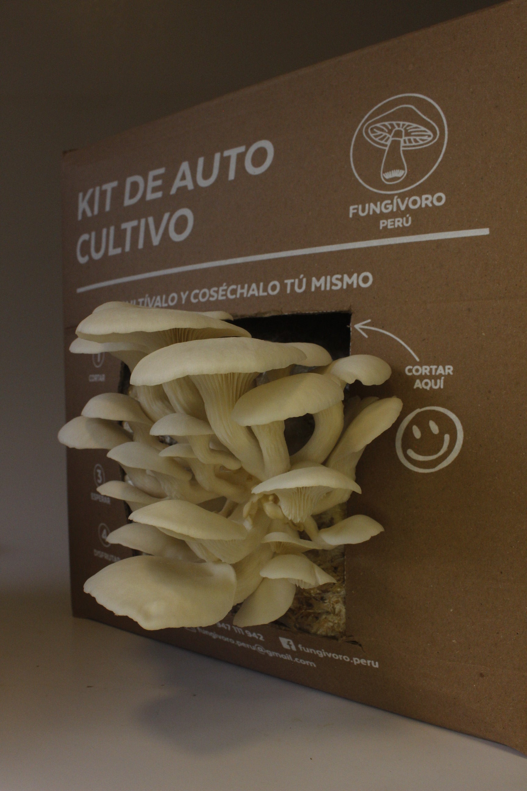 Kit de Cultivo “Cosecha tus Propias Setas” – Hongo Ostra (pleurotus ostreatus) | Fácil, Práctico y Listo para Usar