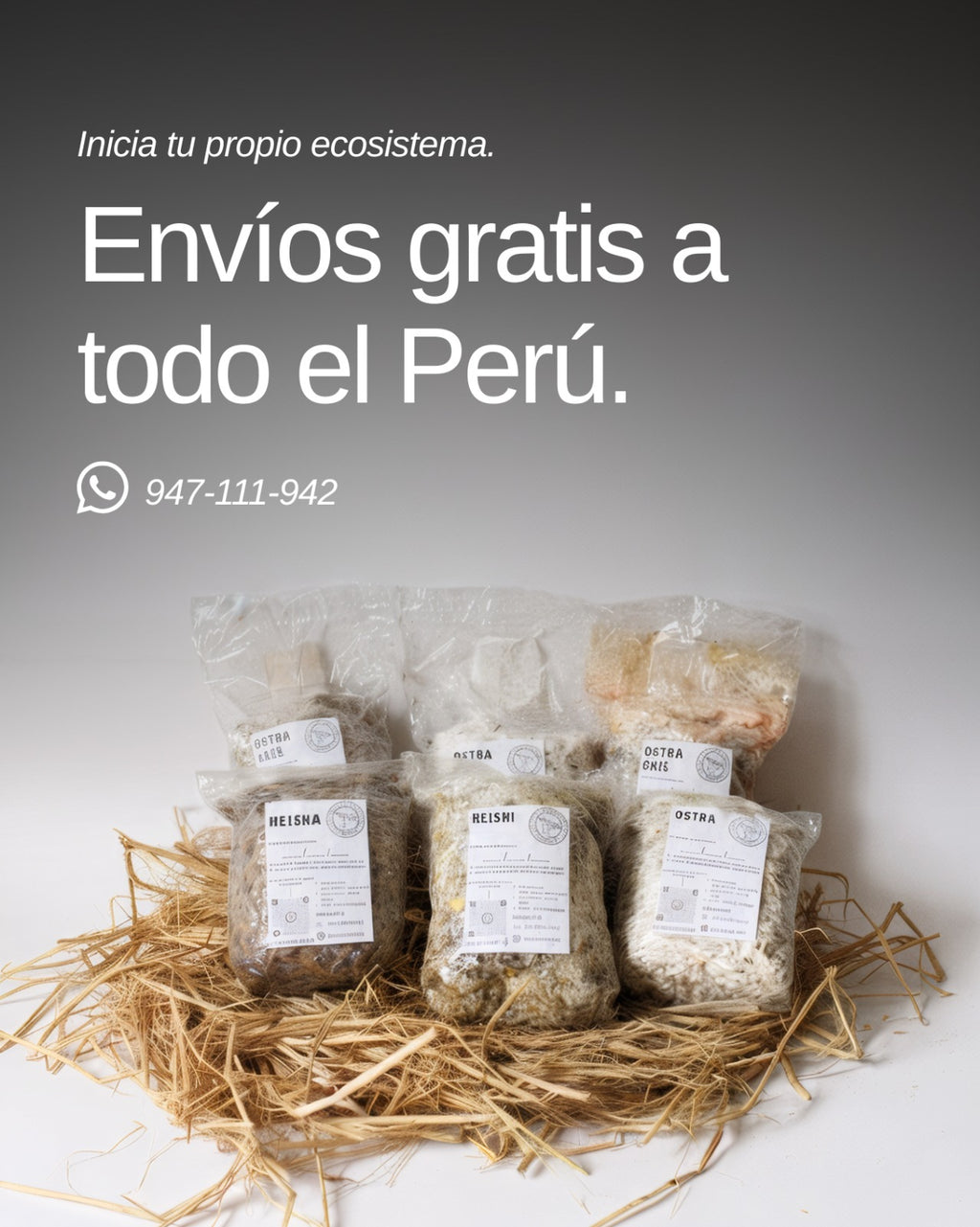 PROMOCIÓN Semilla Hongos Ostras (pleurotus ostreatus)